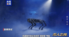 100只整装待发！量产机器狼“-20℃极寒测试”现场曝光